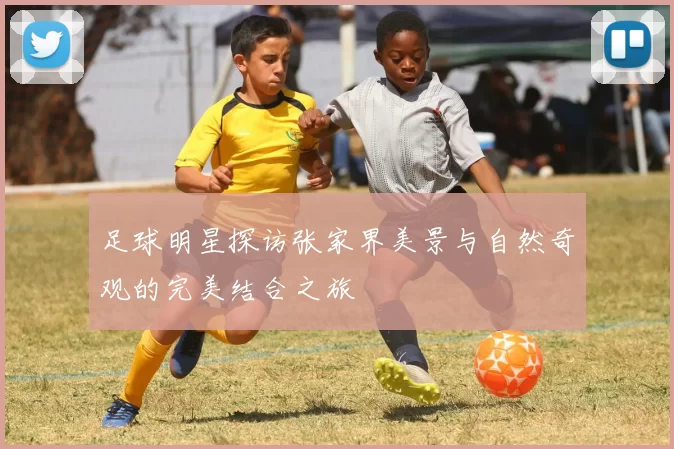 足球明星探访张家界美景与自然奇观的完美结合之旅