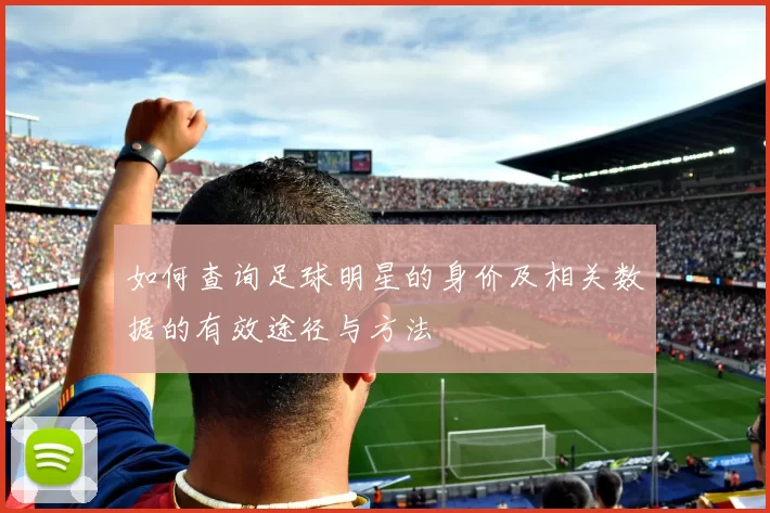如何查询足球明星的身价及相关数据的有效途径与方法