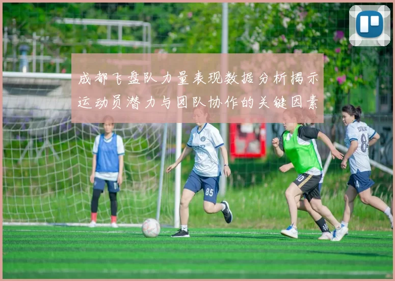 成都飞盘队力量表现数据分析揭示运动员潜力与团队协作的关键因素